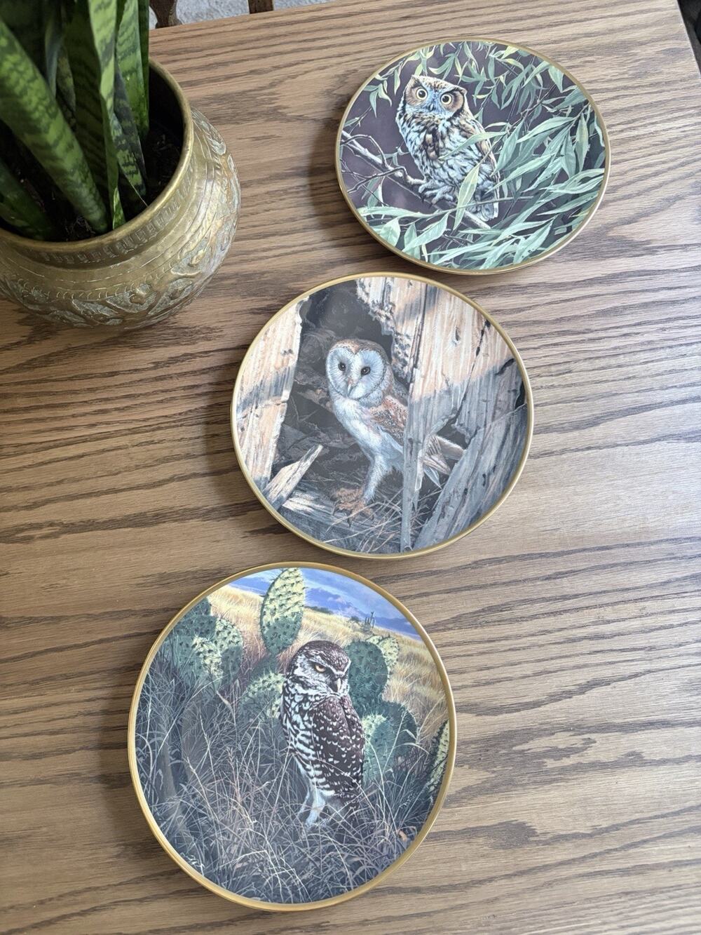 Vintage Wall Hanging Plates Owls Spode Hamilton Set of 3 Owl Plates Woodland